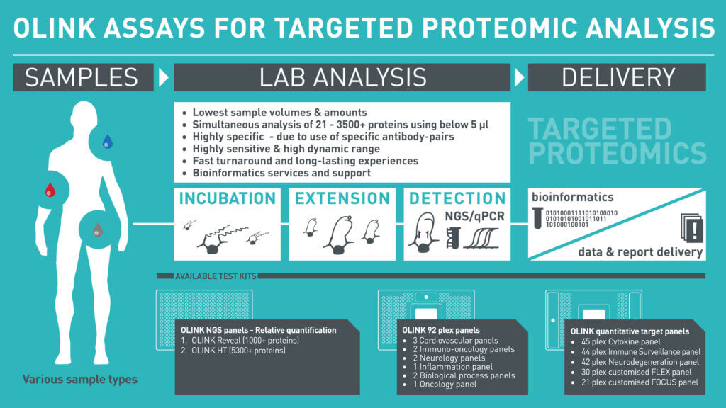 2026 HMD Olink Grafik V2